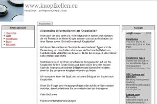 Webseite zum Thema Knopfzellen und ihre Verwendung